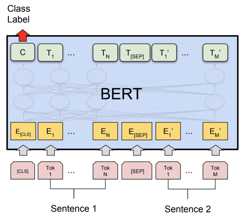 ../_images/bert1.png